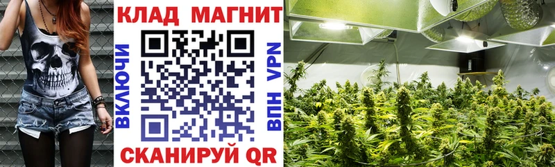 Где купить наркоту Сокол kraken как зайти  Псилоцибиновые грибы  Меф  Амфетамин 