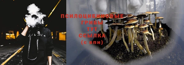 стаф Армянск