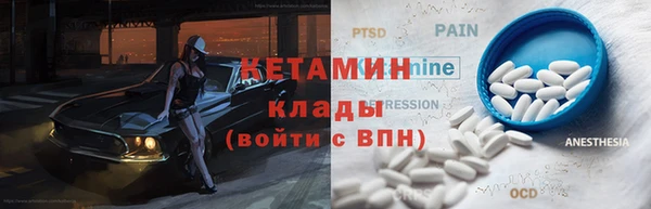 хмурый Аркадак