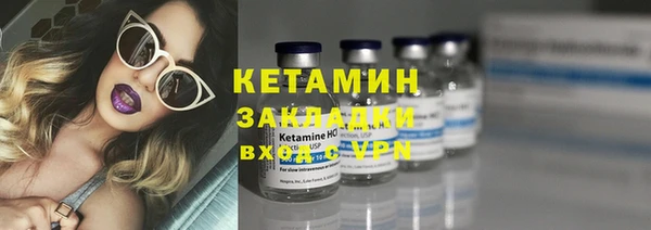 хмурый Аркадак