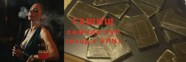 хмурый Аркадак