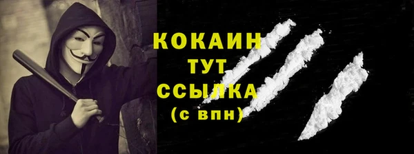хмурый Аркадак