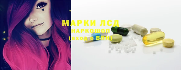 хмурый Аркадак