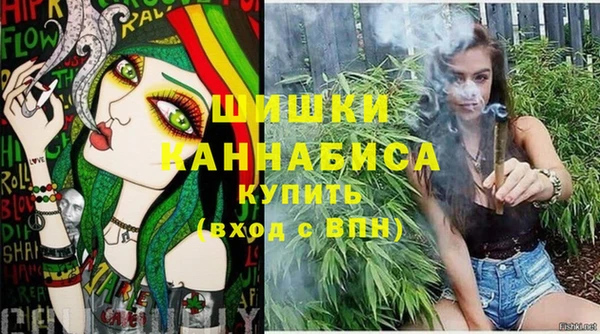 хмурый Аркадак