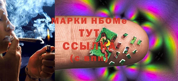 хмурый Аркадак