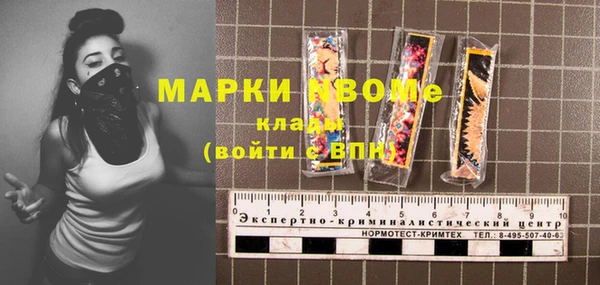 хмурый Аркадак