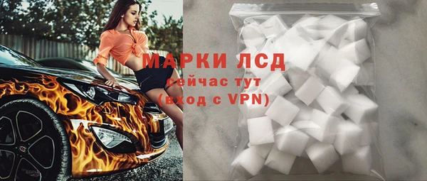 хмурый Аркадак