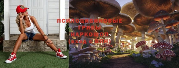 стаф Армянск