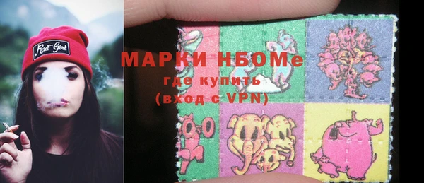 ПСИЛОЦИБИНОВЫЕ ГРИБЫ Арсеньев