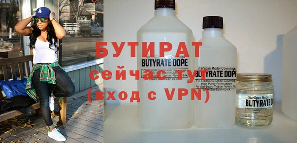 хмурый Аркадак