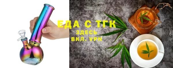 хмурый Аркадак
