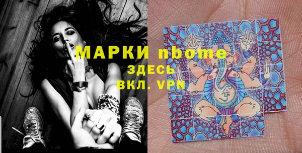 хмурый Аркадак