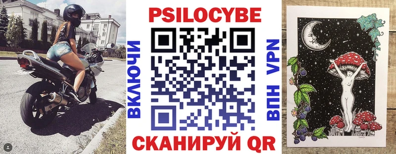 дарк нет формула Сокол Галлюциногенные грибы Magic Shrooms